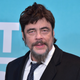 Illustration for article titled Benicio del Toro iis /iSwiper in the iDora The Explorer /imovie